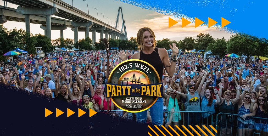 Party in the Park project artwork